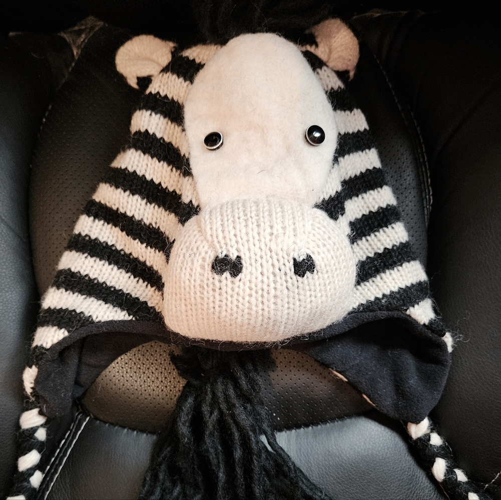 Zebra Wool Winter Hat